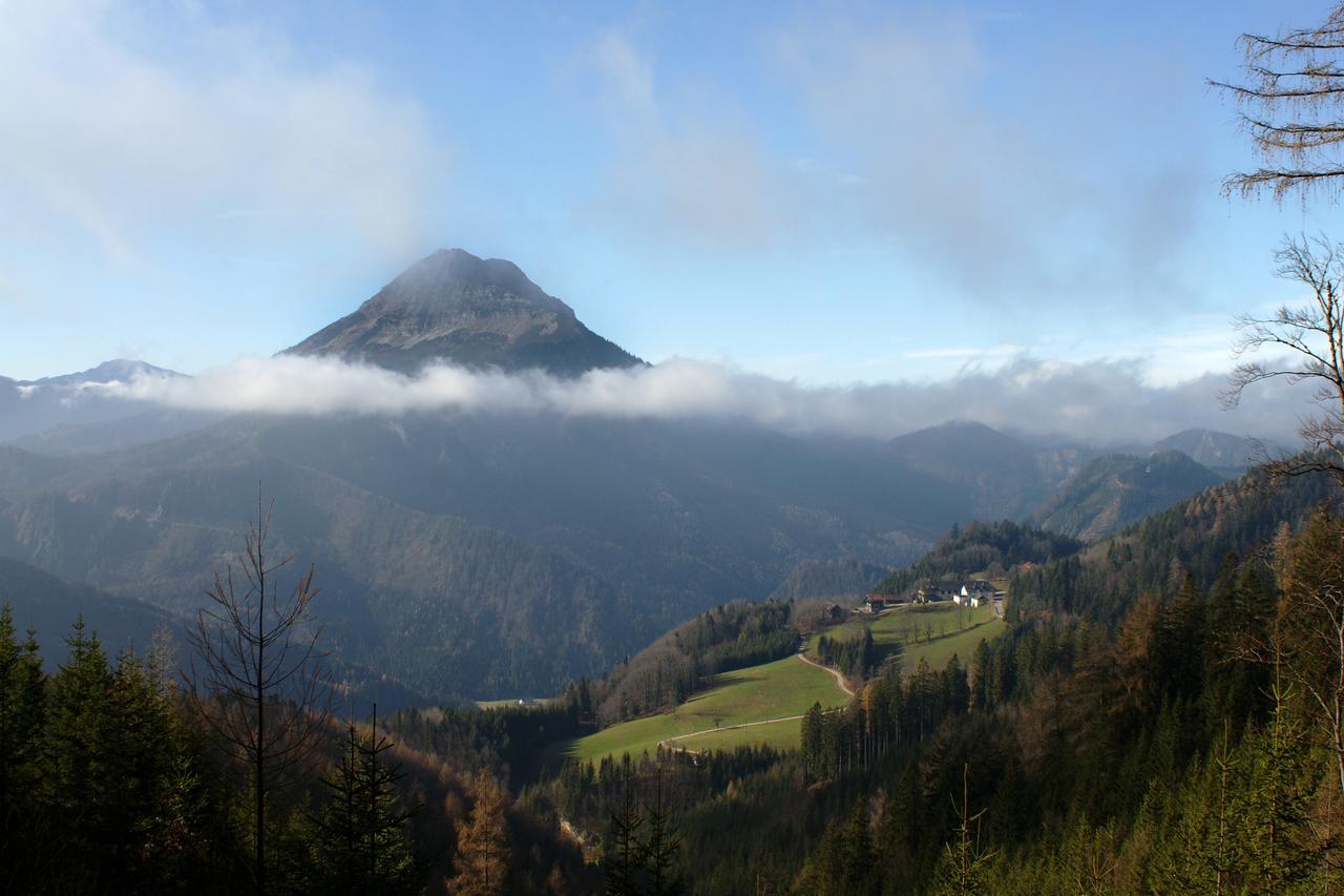 Alpenhotel Goesing Puchenstuben Exterior foto