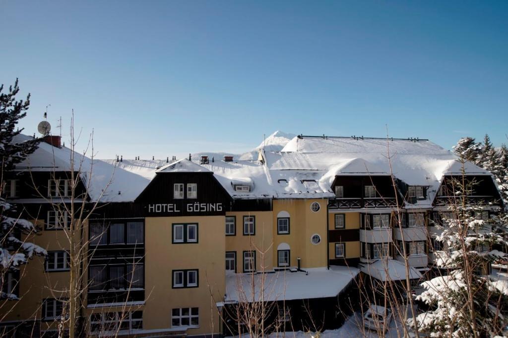Alpenhotel Goesing Puchenstuben Exterior foto